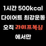 라이프복싱 송파방이역점