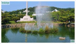 비케이팜