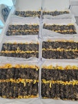 팔천순대꼬마김밥 팽성점