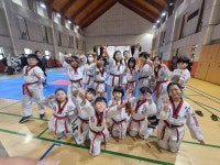 한국체대 한빛태권도