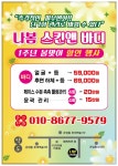 최봄스킨바디 | 나봄스킨앤바디