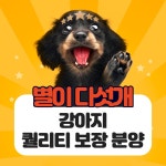 플레이독 파주본점