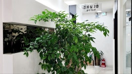 안양미플러스치과의원