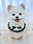 몽끌림