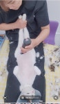 빛나옹