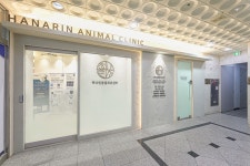 24시하나린동물의료센터