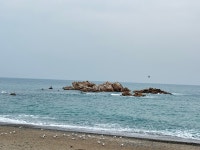 운화당 신점 사주