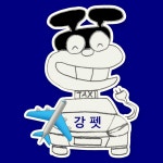 강가딘택시