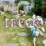 멈무아지트 애견유치원 & 호텔 & 미용