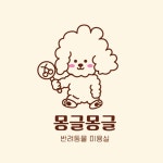 몽글몽글 강아지 애견미용 남악
