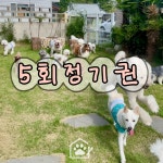 멈무아지트 애견유치원 & 호텔 & 미용