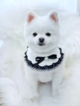 몽끌림