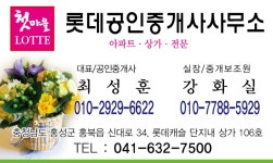 롯데공인중개사사무소