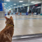 YS스윔키즈 레슨전문수영장