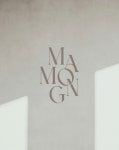 마몽헤어