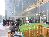 반려견호텔 로젯펫살롱 세인트존스호텔점