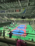 삼산 비룡태권도&SJ줄넘기세상