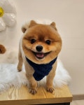 그루밍메이트