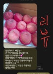 영천복숭아임금농장