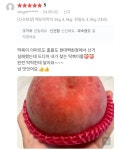 영천복숭아임금농장