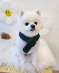 그루밍메이트
