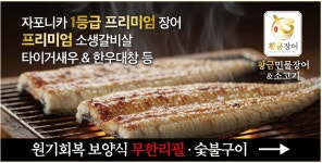 황금장어