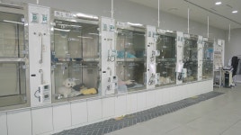 수원 스카이동물메디컬센터