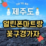 열린폰마트 방화역점