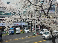 엔젤스코인노래연습장 울산무거점