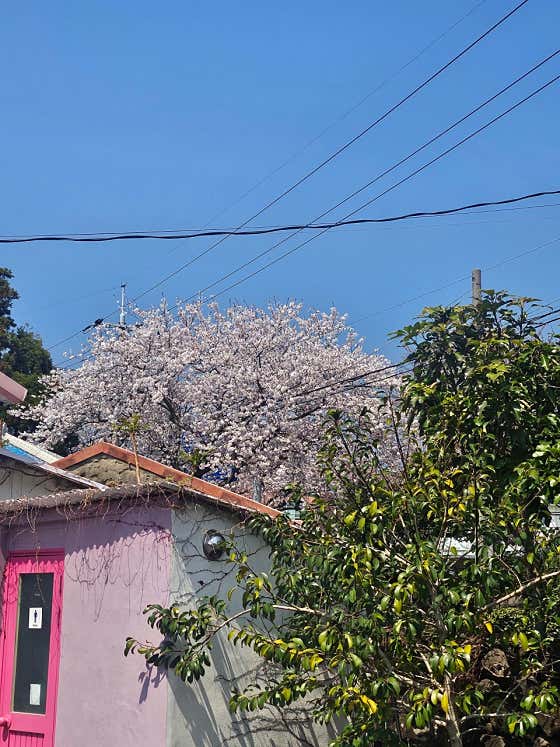 쩡이상회 사진
