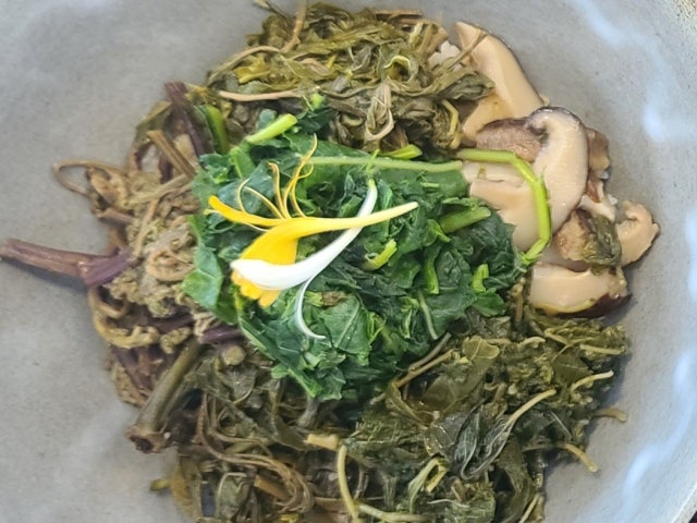 지리산산나물 모담산