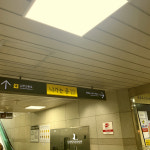 루시드닷