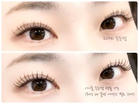 그녀의 속눈썹