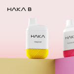 하카전자담배 목동 직영점