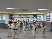 슈퍼파워태권도