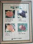 언양민물건강원 | 민물나라 건강원