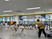 슈퍼파워태권도