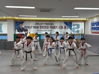 슈퍼파워태권도
