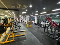 핏불짐휘트니스