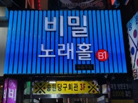 비밀 노래홀