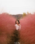 스튜디오 슈가베어