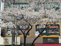 리드인 칠성초점 독서논술학원