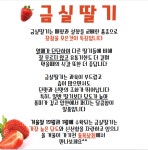통복시장통복상회과일가게