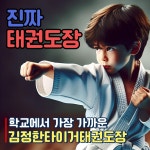 김정한타이거태권도장