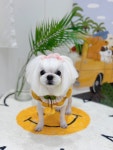 몽개몽개