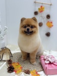 몽개몽개