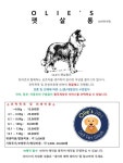 올리스24시애견셀프목욕 방이점