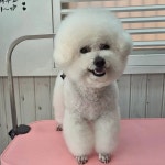 토닥토닥