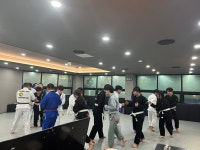 팀 미르 주짓수