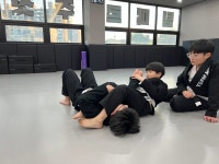 팀 미르 주짓수